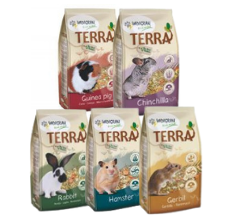 Terra